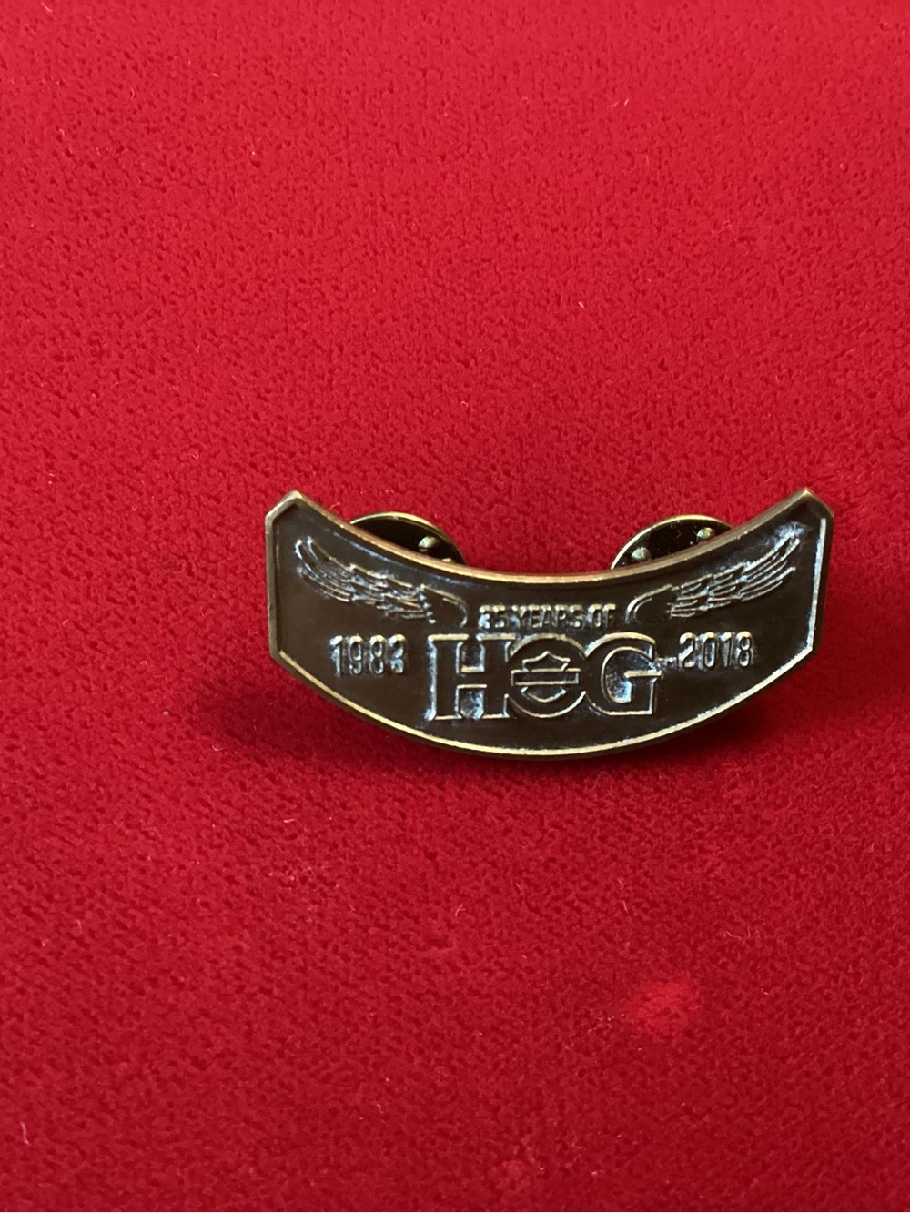 Harley-Davidson Black and Gold H.O.G. Anniversary Pin